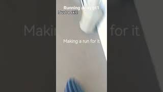 Running away - Skit - PT1  #edit #theriangear #memeanimation #runningaway