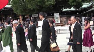 Matrimonio Shintoista al Tempio Meiji