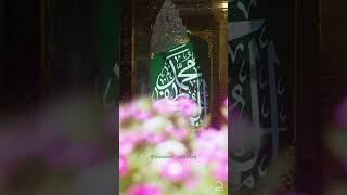 صلو عليه شفيع الامة اللهم صل على محمد وآل محمد🌿🌺 #سامي_يوسف