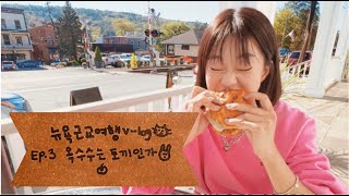 [KOR/ENG] NYC Vlog🗽🌽 l 추석 맞이 고양이와 떠나는 뉴욕 근교 여행ㅣDAY 3: Callicoon 파머스 마켓 🍏🫛🥬 , 인생 도너츠 발견🍩, 버거 먹방 🍔