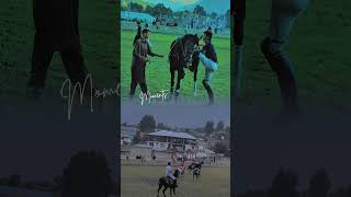 Freestyle polo Chitral| Arbab Quli | #horse #qashqarianband #polo #chitralpolo #gilgitbaltistan