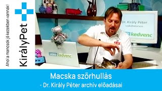 Macska szőrhullás