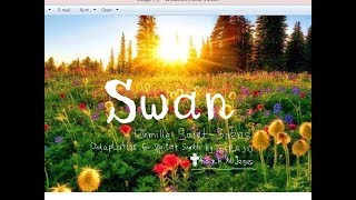 The Swan, Le cygne, by Camille Saint-Saëns, guitar synth GR-20 (headphones)