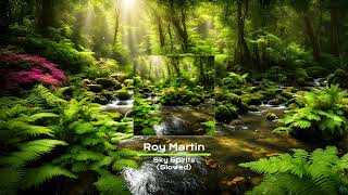 Roy Martin - Sky Spirits - Slowed