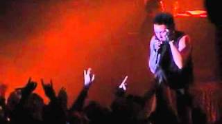 Papa Roach Live in Seoul 2005 part3