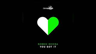 Robbie Rivera - You Got It