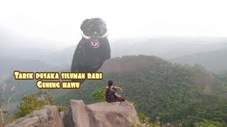 SILUMAN BABI GUNUNG HAWU MEMBERIKAN PUSAKA SAMBAN BABI NYA