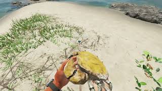 Stranded Deep: New start fun and danger in exploring