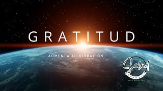 La Gratitud y el Cambio de Vibración ✨🙏