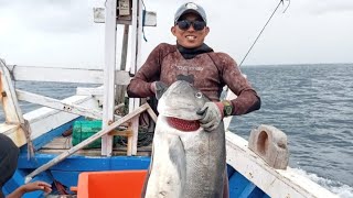 MONSTER GIANT TREVALLY MENGAMUK | Spearfishing Indonesia