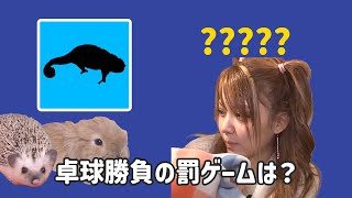 卓球勝負に負けたれいなの罰ゲームは？（2015年おつかれいな会４）