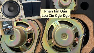 Loa Pioneer S-X620V Sườn Vàng Đẳng Cấp