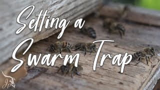 Setting a Swarm Trap