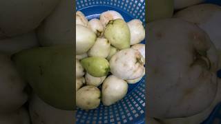 জামরুল মাখা!আপনারা কী এই ফল টা চিনেন?#food#shortvideo #shorts