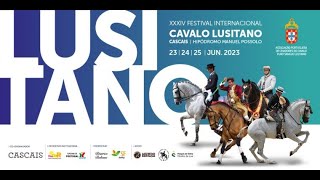 230624 FICL Resumo Provas de ET Maneabilidade  - Highlights of the Working Equitation Agility trial