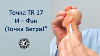 TR 17 И   Фэн Точка Ветра массаж