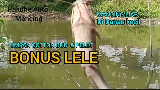 UMPANNYA PELET DAN COTTON BUD || MANCING LIARAN