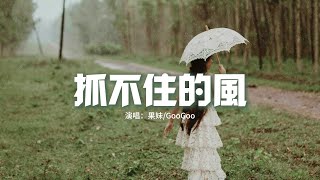 果妹/GooGoo -  抓不住的風『你在我的記憶里輾轉徘徊，最後卻留給了我一片空白，抓不住的風，雨剛好像過去的痛。』【動態歌詞MV】