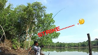 MANCING IKAN DUKANG DI MUARA|| Dani Fishing Fish