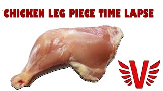 CHICKEN LEG PIECE TIME-LAPSE OF 14 DAYS IN 14 MINUTES.