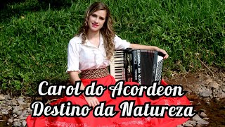 Carol do Acordeon - Destino da Natureza