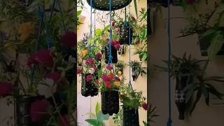 Diy Hanging Jhula Planter #trending #gardening #shorts