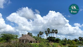 Cinematic Nature video with beautiful Palm,Clouds and Lake 4K HDR 60fps [ No copyright ]