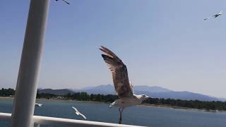 Ferry Thasos 2017