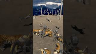 Wild Confrontation Buzzhook and Tiger Clash