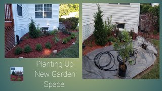 Planting Up My Extended Garden Bed