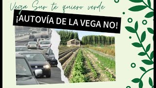 Debate abierto sobre una autovía en la Vega Sur