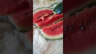 amezing watermelon cutting at home #trending #ytshorts