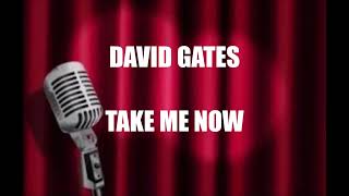 KARAOKE- DAVID GATES- TAKE ME NOW original