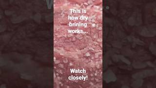 Watch how dry brining works... don't blink, or you'll miss it!