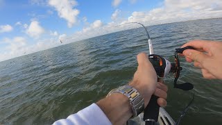 Kayak Fishing below the Seagulls next to the Nueces Bay Causeway