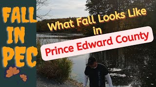 Fall in Love with Fall in Prince Edward County: A Guide to the Best Season