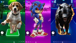 🐶 The Puppy vs Sonic exe Prime vs The Wild Wolf | Coffin Dance 🪩