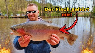 Die Monster Forelle aus dem Angelweiher Föhren