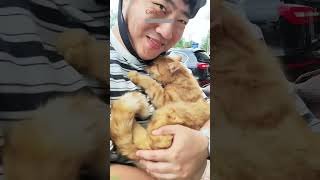 ❤️🐈 Funny cats ❤️🐈 , ❤️Cute cats #CatHouse  episode 390