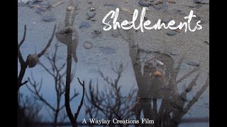 Shellements - Short Film (2021)