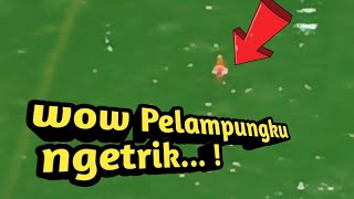 Mancing Kolam Lele Harian Pelampungku Ngetrik Hebat