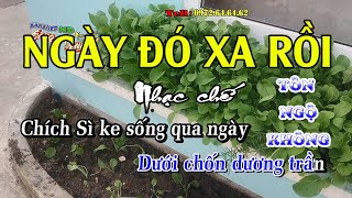 Tôn Ngộ Không - Ngày đó xa rồi - Nhạc chế Bài số 130 - KARAOKE HD