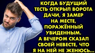 Когда будущий тесть открыл ворота дачи, я замер на месте, поражённый увиденным. А вечером сказал