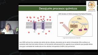 CHARLA "ENTORNO SALUDABLE. MINIMIZACIÓN DE LA CONTAMINACIÓN ELECTROMAGNÉTICA"