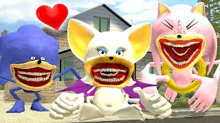 NEW LOVE STORY PREGNANT ROUGE SONIC TAPES!? (Garry`s Mod)