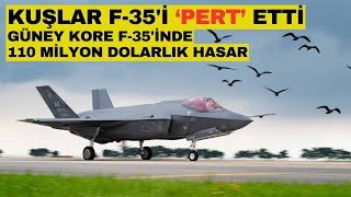 Kuşlar F-35’i pert etti. Hasar 110 milyon dolar