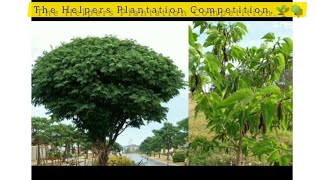 The Helpers Plantation🌳🌱 Competition||must participate||misbahshahvlog