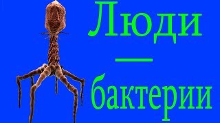 Найдены похожие на людей вирусы