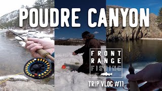 Poudre Canyon Ice, Fly, Spin Fishing | Vlog #11