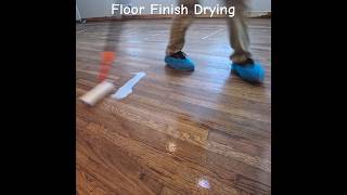 Floor Finish (coating and drying timelapse)